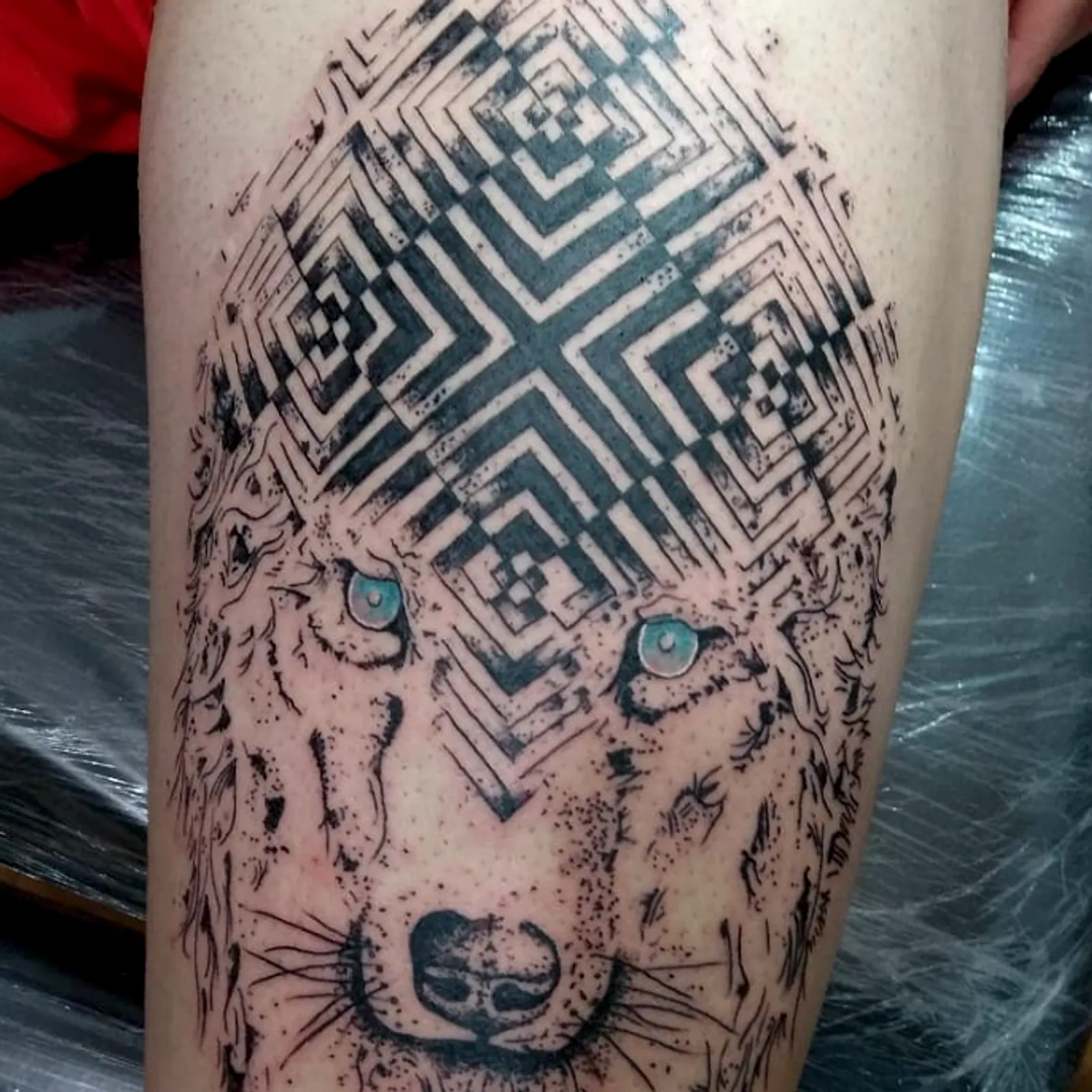 Lobo Geometrico