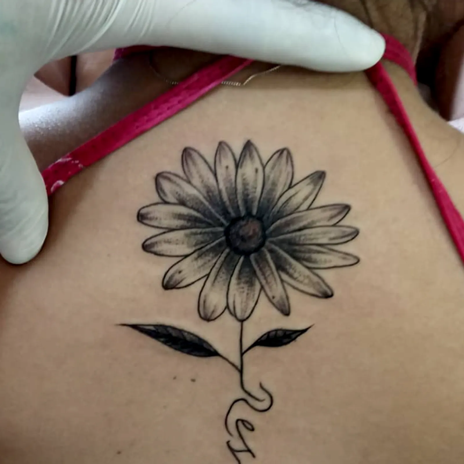 Girassol Coluna